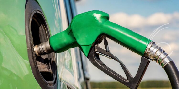 Solução desenvolvida pela USP pode reduzir perda de produção de etanol por contaminação