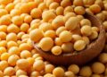 Soja inicia semana subindo na Bolsa de Chicago nesta 2ª, à espera dos números do USDA