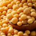 Soja inicia semana subindo na Bolsa de Chicago nesta 2ª, à espera dos números do USDA