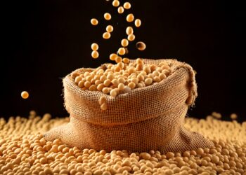 Soja/Cepea: Colheita segue a todo vapor; estimativa de safra recorde se fortalece