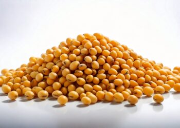 Preços da soja começam mais uma semana com estabilidade em Chicago no aguardo do USDA