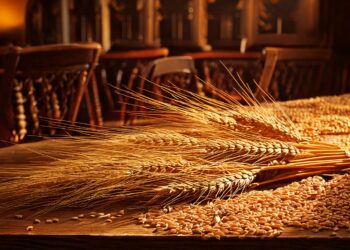 Trigo/Cepea: Preços atingem maiores níveis nominais desde agosto/24