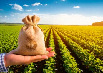 Plano Safra 2025/26: orçamento prevê R$ 15 bi, porém mais R$ 1,6 bi devem ser necessários