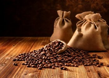 Café/Cepea: Indicador do arábica atinge recorde real pelo 3º mês