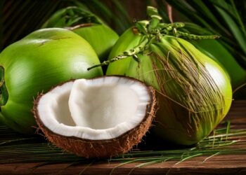 Próximo biocombustível do Brasil pode ser ‘movido a coco’. Entenda