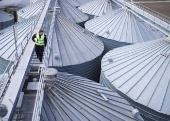 Tecnologia e ganho de produtividade fazem cair ocupação no agro