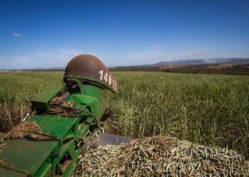 Preços do açúcar e etanol devem ficar mais altos em 2025/26