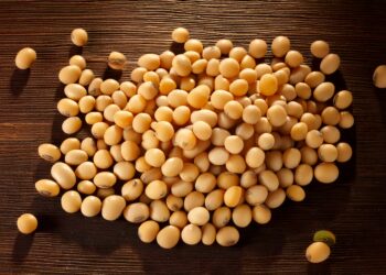 Após máximas em um mês, soja realiza lucros em Chicago na 4ª feira do tarifaço de Trump