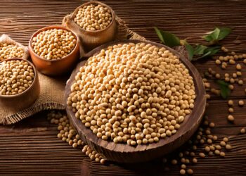 Safra de soja da Capal cresceu 23,5% em 2024/25