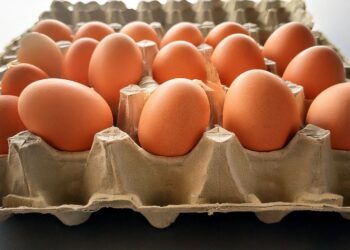 EUA viram o maior importador de ovos do Brasil