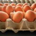 EUA viram o maior importador de ovos do Brasil