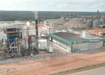 Justiça determina perícia e cobra nova rodada de documentos do Grupo Safras