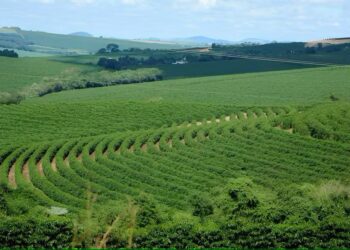 Ministério da Agricultura busca opções para ampliar Plano Safra