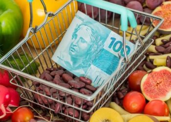 Inflação dos alimentos e os estoques reguladores