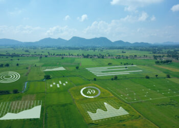 Conectividade no campo: 66,55% da área de Cana-de-Açúcar no Brasil possui cobertura de internet