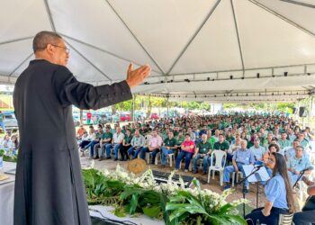 Jalles inicia safra 2025/26