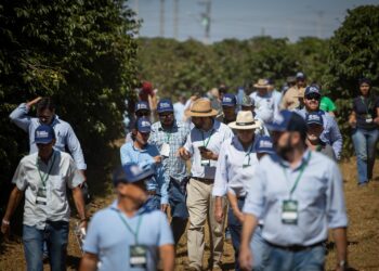 Fundação Procafé confirma calendário dos Dias de Campo 2025