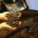 Café: produção brasileira em 2025 está estimada em 3,2 milhões de toneladas, aponta IBGE