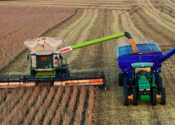 Mato Grosso tem boas perspectivas para a safra