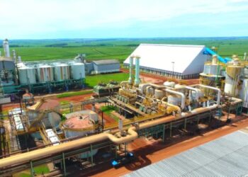 Da Mata registra lucro recorde de R$ 287,13 milhões em 2024, alta anual de 37,8%