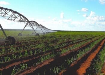 Quase 70% das unidades produtoras brasileiras ainda não utilizam irrigação