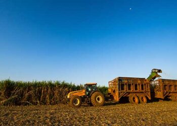 Minas processa mais de 83 mi/ton de cana e atinge marcas históricas na produção de açúcar e etanol