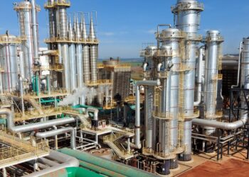 Adecoagro tem prejuízo ajustado de US$ 13,48 milhões no 1º trimestre de 2025