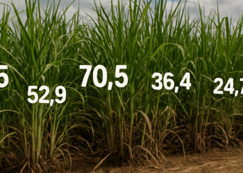Vision Tech traz debate sobre caminhos para o avanço da economia no agro