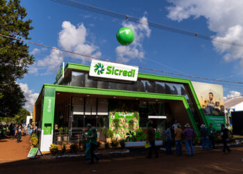 Sicredi libera R$ 43,3 bilhões no Plano Safra 24/25 e mantém liderança no crédito rural