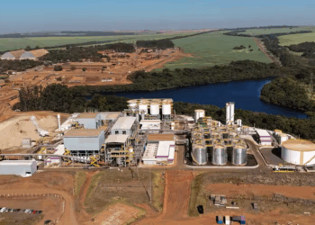 Raízen vê prejuízo aumentar ainda impactada por seca nos canaviais