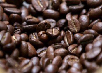 Café/Cepea: Indicador do robusta cai com força em abril