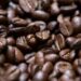 Café/Cepea: Indicador do robusta cai com força em abril