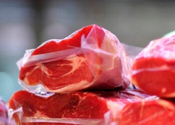 Exportações de Carne Bovina Crescem 29% em Abril, Superando 300 Mil Toneladas, Aponta ABRAFRIGO