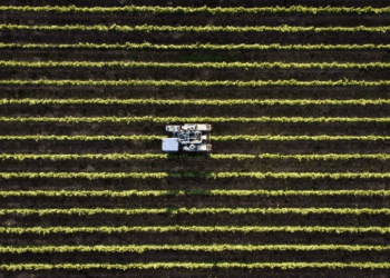 Seguro rural cobre só 14% da área agrícola