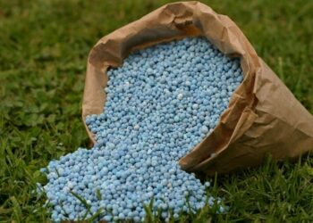 Mercado de fertilizantes em alerta