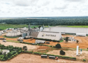 Grupo Safras tentará reverter exclusão da planta de Cuiabá na recuperação judicial