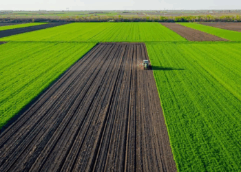 BrasilAgro diminui prejuízo para R$ 1,093 milhão no 3º trimestre de 2024/25