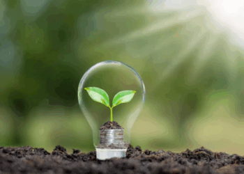 Braspell planeja investimentos de R$ 10 bilhões em Minas Gerais com projetos de bioenergia