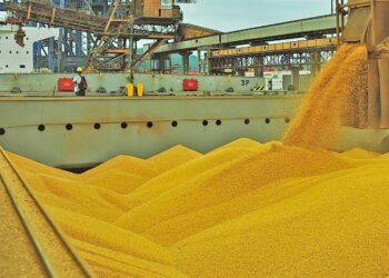 Soja: Queda persiste, mas há oportunidades