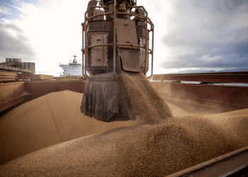 Soja brasileira ainda pode levar vantagem mesmo após acordo EUA-China