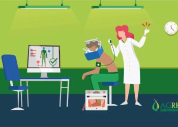 RH no agro – Será que pesquisa salarial é uma solução ou mais um problema?