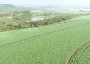 Batatais e Cevasa fecham parceria com Vivo que pode levar conectividade para mais de 700 mil hectares
