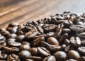 Colheita do café avança, e preços caem com mais força em maio
