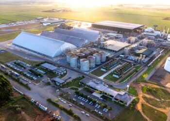 FS se une a startup finlandesa para transformar vinhaça em proteína funcional