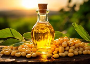 Preços do óleo de soja voltam a subir com expectativa de aumento na mistura de biodiesel