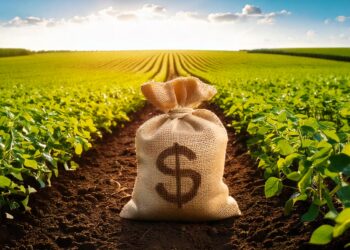 Mais de 10 mil produtores podem buscar desconto no Plano Safra por boas práticas agrícolas