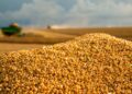 Produtores do Sul de Minas antecipam planejamento para a safra de soja 25/26