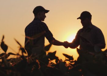 Evento gratuito com Carolina Vergeti, especialista do setor, analisa os desafios da gestão de riscos no agro em Cuiabá