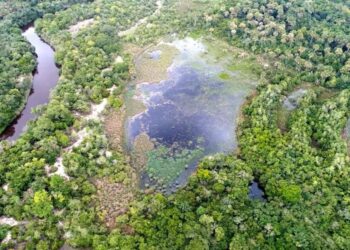 Usina Coruripe vai usar reserva particular para gerar crédito de carbono