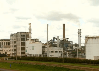 Usina de Sertãozinho, SP, é condenada a pagar R$ 500 mil por sobrecarga de peso no transporte de cana-de-açúcar